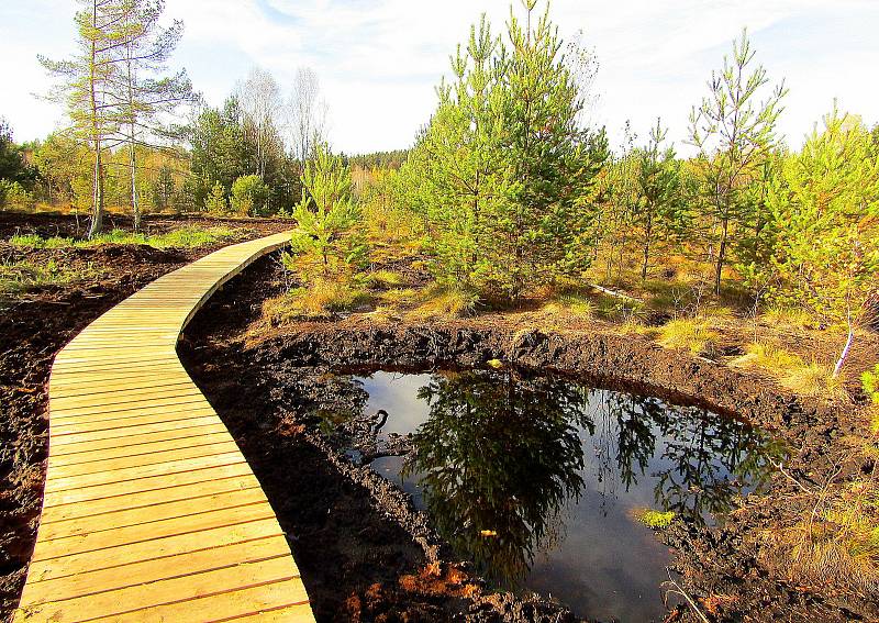 Národní park Šumava dokončil obnovu povalového chodníku na Soumarském rašeliništi u Volar. Naučná stezka turisty zavede k vyhlídkové věži a zpět k parkovišti lze projít okruh kolem řeky Vltavy.