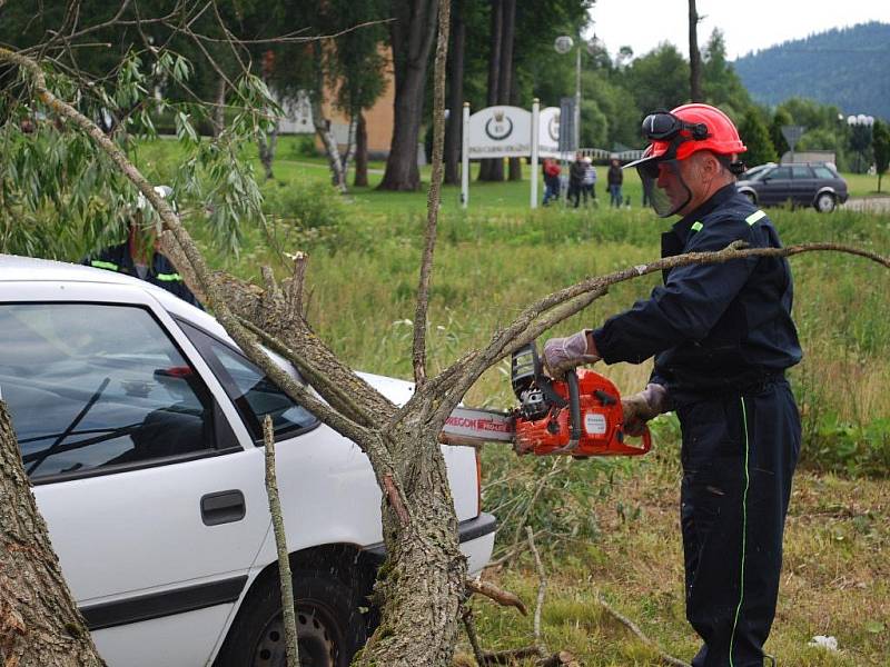 Hasiči ze Strážnýho a Philippsreutu se sešli, aby si navzájem předali své zkušenosti a předvedli lidem zásahy nanečisto.