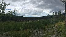 Páteční bouřka za sebou nechala obrovské škody na území Národního parku Šumava. Turisté se tak na některá místa nepodívají.