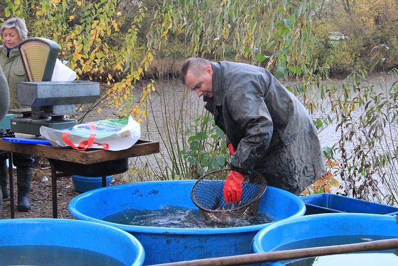 Rybáři v sobotu ponořili sítě do Dubského rybníka. Některé dobroty hned nabídli na prodej.