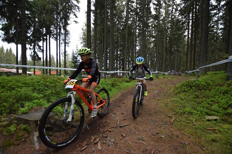 Nejmenší bikeři zahájili seriál Jihočeského poháru MTB.