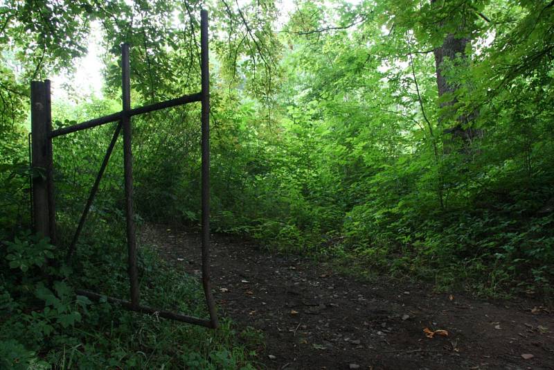 Areál zamýšleného wellness centra na Lázních svaté markéty v Prachaticích. Místo nových budov, které tu měly stát, vyrostly jen další stromy a křoví a zbylé staré budovy dál chátrají.