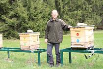 Vedoucí provozu Městských lesů Volary Miroslav Trost je zároveň včelař, a tak obhospodařuje také městský včelín, který lesy vloni postavily.