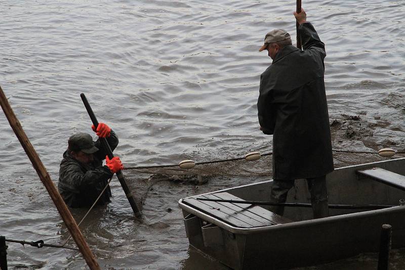 Rybáři v sobotu ponořili sítě do Dubského rybníka. Některé dobroty hned nabídli na prodej.