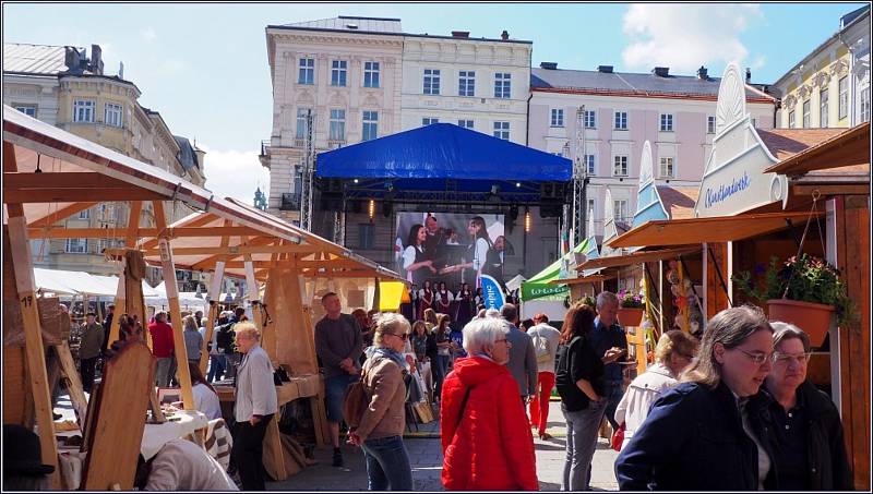 Libín-S vystoupil jako host v Linzi.