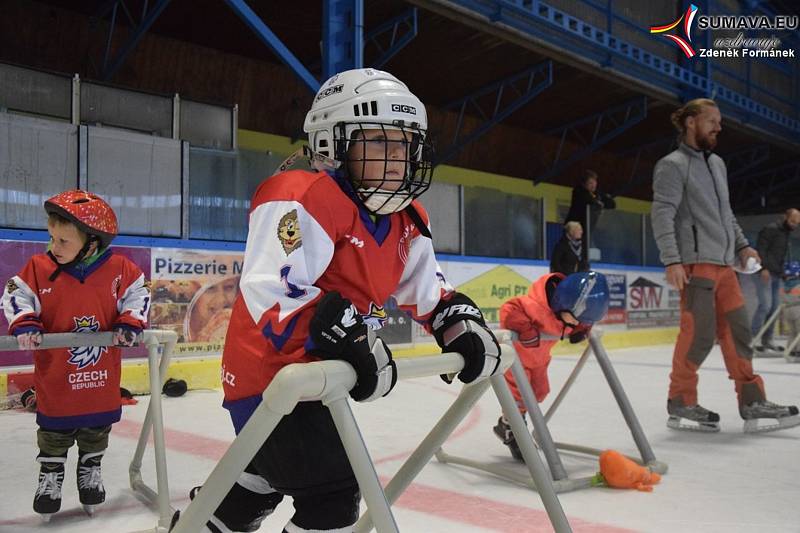 Děti si zkusily led, rodiče vědí, co znamená mít doma hokejistu.