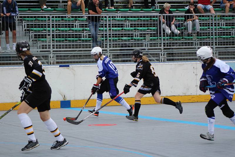 Hokejbalová liga žen - turnaj v Prachaticích.