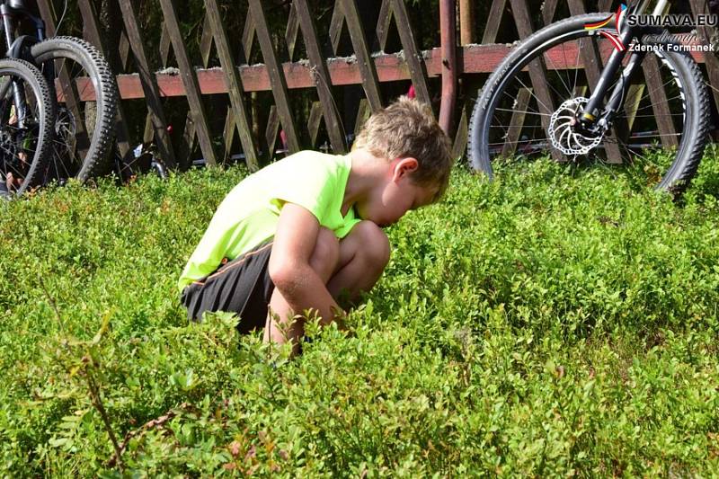 Bikeři zdolávali 21. Šumavský MTB maraton. Foto: Zdeněk Formánek