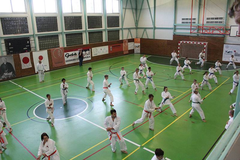 Prachatice hostí 14. ročník tréninkového kempu karatistů Gasshuku Czech 2019.