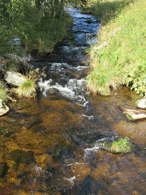 Ilustrační foto Šumava.