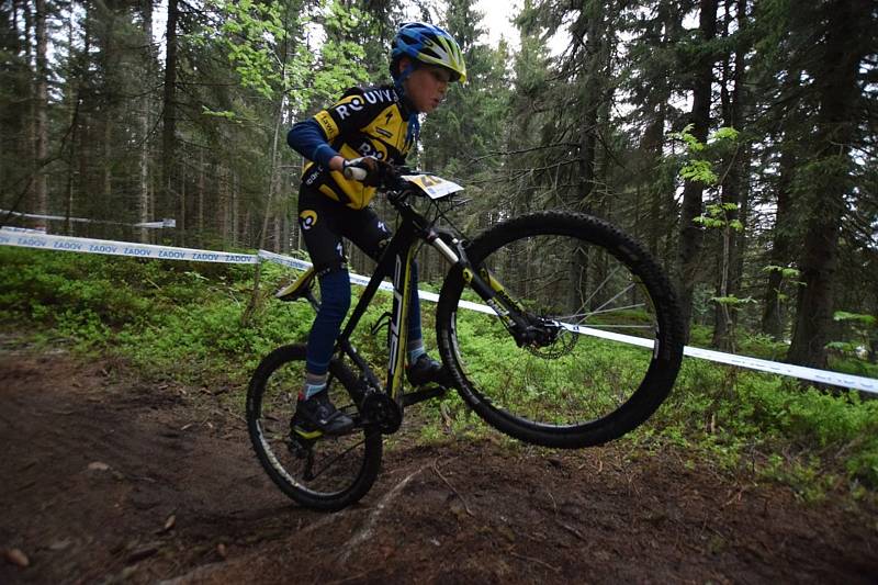 Nejmenší bikeři zahájili seriál Jihočeského poháru MTB.