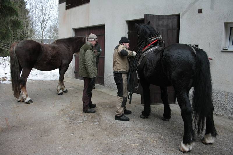 Bývalá rota pohraniční stráže v Borových Ladech, kterou před časem převzala do majetku Správa NP a CHKO Šumava, se stala domovem pro dvojici chladnokrevných koní. Ty se snaží Správa parku vracet na Šumavu.