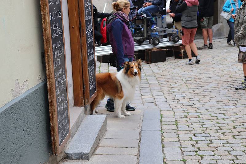 Natáčení filmu Lassie, vrať se v Prachaticích.