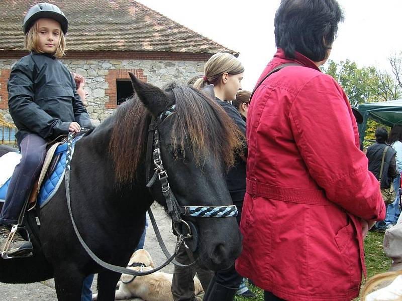 Jezdecký den ve stáji Rohan v Netolicích