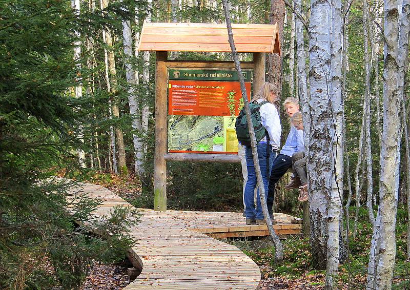 Národní park Šumava dokončil obnovu povalového chodníku na Soumarském rašeliništi u Volar. Naučná stezka turisty zavede k vyhlídkové věži a zpět k parkovišti lze projít okruh kolem řeky Vltavy.