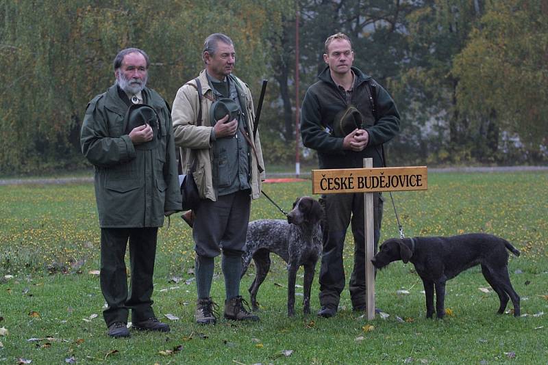 Na Netolicku se v sobotu uskutečnil 52. ročník Mistrovství Šumavy.