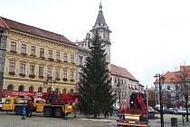 V pátek 18. listopadu dorazil na prachatické náměstí vánoční strom. Zdobit se bude příští týden.