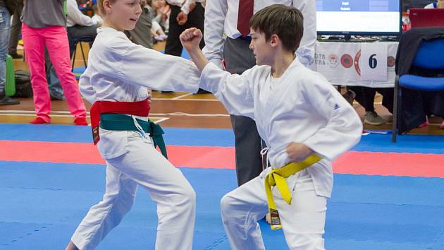 Karatisté Karatedo klubu Tsunami Prachatice se představili na Národním poháru v Praze.