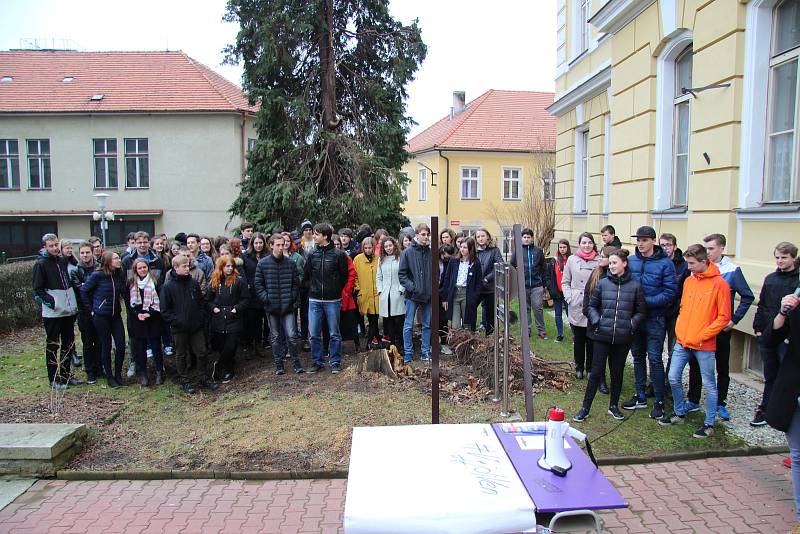 Prachatičtí gymnazisté se připojili k aktivitě Vyjdi ven!