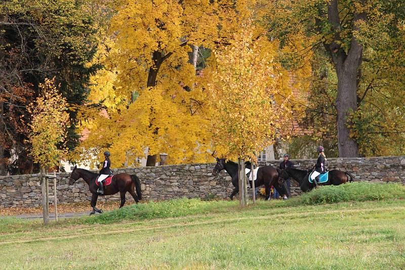 Hubertova jízda 2019 na zámku Skalice v Bohumilicích. Foto: Deník/Nikola Beranová