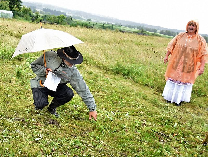 Ve Volarech se sešli sekáči při tradiční soutěži v kosení trávy.