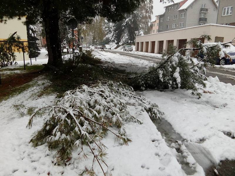 Husté noční a ranní sněžení způsobilo na Prachaticku místa kalamitní stav. Těžký sníh lámal větvě i stromy. Následné výpadky proudu působily problémy v obchodech i na úřadech.