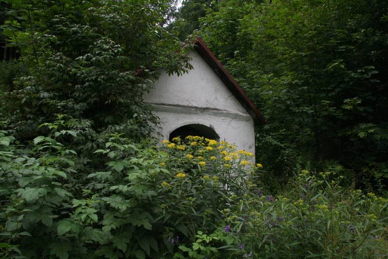 Areál zamýšleného wellness centra na Lázních svaté markéty v Prachaticích. Místo nových budov, které tu měly stát, vyrostly jen další stromy a křoví a zbylé staré budovy dál chátrají.