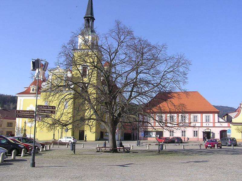 Lípa svobody ve Vlachově Březí se utká o titul Strom roku.