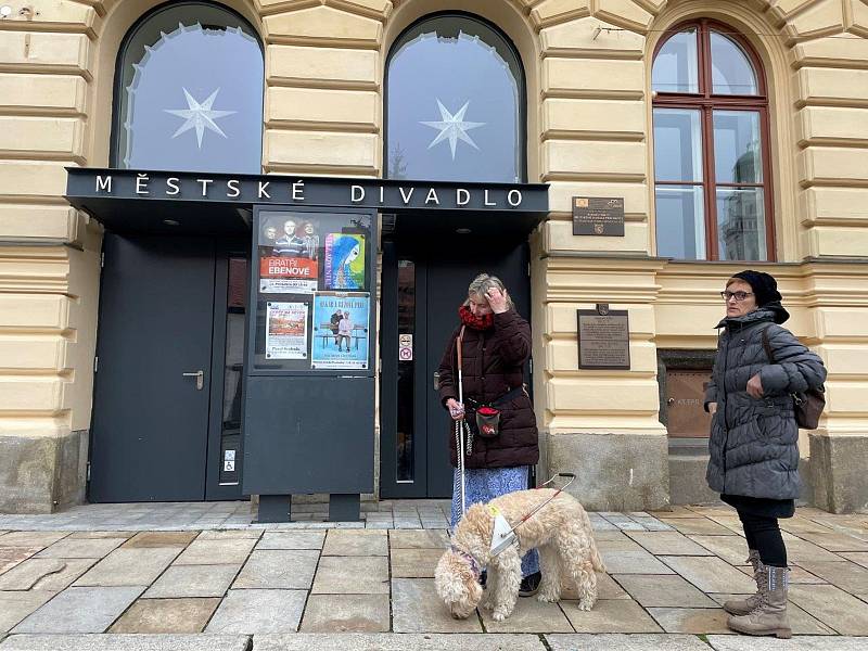 Okružní cestu po Prachaticích provedly u příležitosti Mezinárodního dne zdravotně postižených Marie Mrázová se svým vodícím psem a asistentkou paní Grilovou.