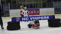 Hokejový nábor v rámci Týdne hokeje ve Vimperku.