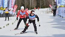 První díl 32. ročníku Šumavského Skimaratonu absolvovali lyžaři klasici mezi Modravou a Kvildou. Běželo se volnou technikou, zítra je na programu klasika.Foto: Zdeněk Formánek