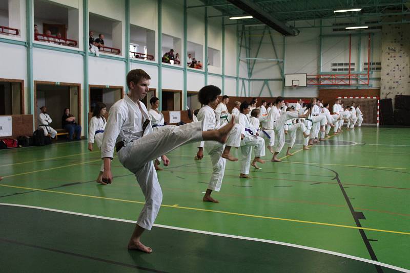 Prachatice hostí 14. ročník tréninkového kempu karatistů Gasshuku Czech 2019.