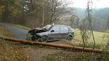 Řidič VW Golfu přerazil ve smyku vzrostlý strom poblíž Lažišť