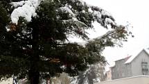 Husté noční a ranní sněžení způsobilo na Prachaticku místa kalamitní stav. Těžký sníh lámal větvě i stromy. Následné výpadky proudu působily problémy v obchodech i na úřadech.