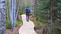 Národní park Šumava dokončil obnovu povalového chodníku na Soumarském rašeliništi u Volar. Naučná stezka turisty zavede k vyhlídkové věži a zpět k parkovišti lze projít okruh kolem řeky Vltavy.