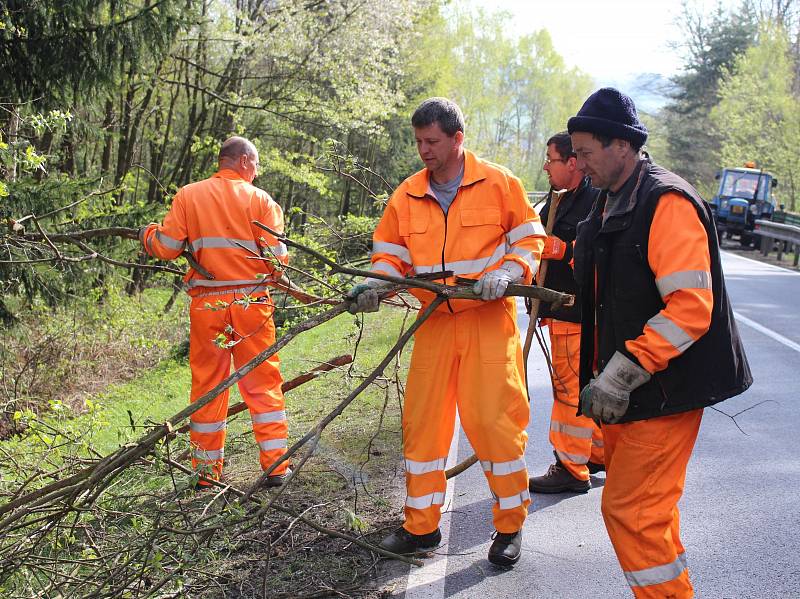 Pracovníci Správy a údržby silnic Prachatice uklízejí na silnici z Prachatic na Vitějovice popadané větve po páteční sněhové kalamitě.