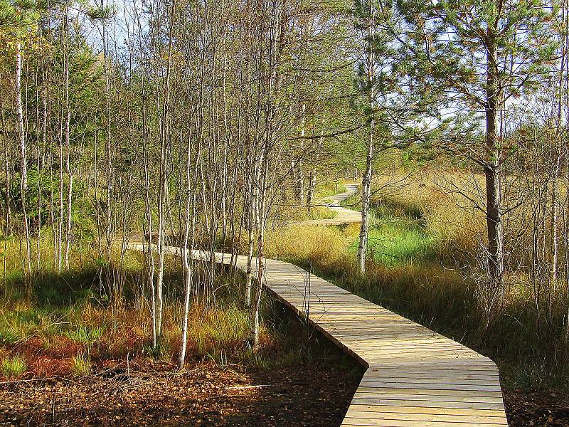 Národní park Šumava dokončil obnovu povalového chodníku na Soumarském rašeliništi u Volar. Naučná stezka turisty zavede k vyhlídkové věži a zpět k parkovišti lze projít okruh kolem řeky Vltavy.