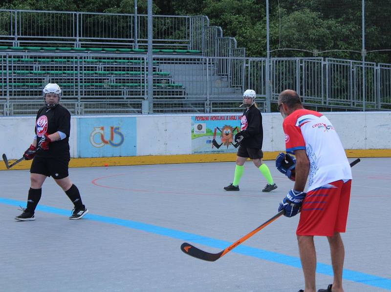 Hokejbalové reprezentantky ČR absolvovaly tréninkový kemp před odletem na MS do Kanady v Prachaticích.