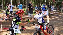 Bikeři zdolávali 21. Šumavský MTB maraton. Foto: Zdeněk Formánek