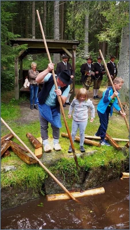 V sobotu 14. září se letos již osmé plavení dříví konalo v Rakousku u potoku Schrollenbach.