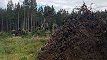 Páteční bouřka za sebou nechala obrovské škody na území Národního parku Šumava. Turisté se tak na některá místa nepodívají.