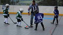 Prachatickou hokejbalovou arénu obsadili v sobotu nejmenší hráči z jihu a západu Čech.