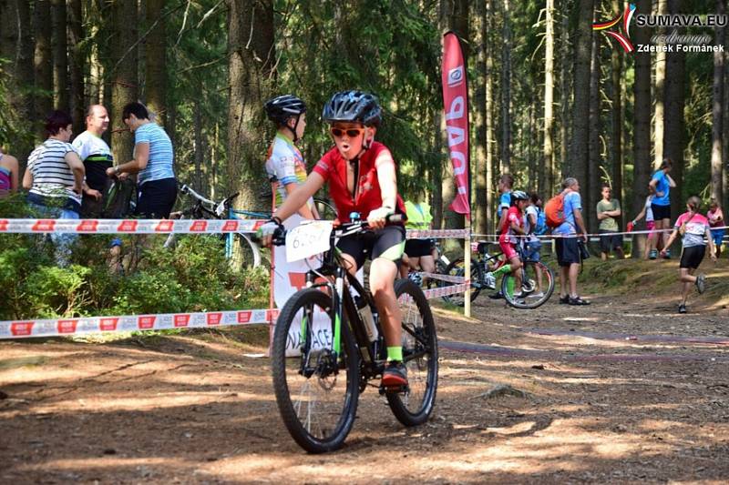 Bikeři zdolávali 21. Šumavský MTB maraton. Foto: Zdeněk Formánek