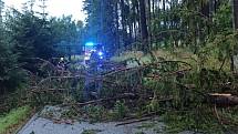 Bouřka 28. 6. 2022. Hasiči z Netolic odstraňovali spadlý strom přes silnici.