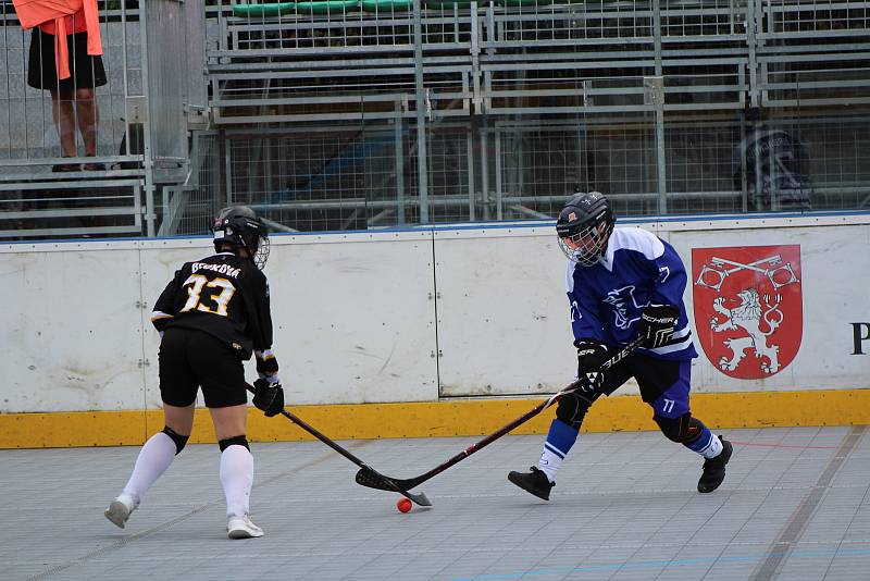 Hokejbalová liga žen - turnaj v Prachaticích.