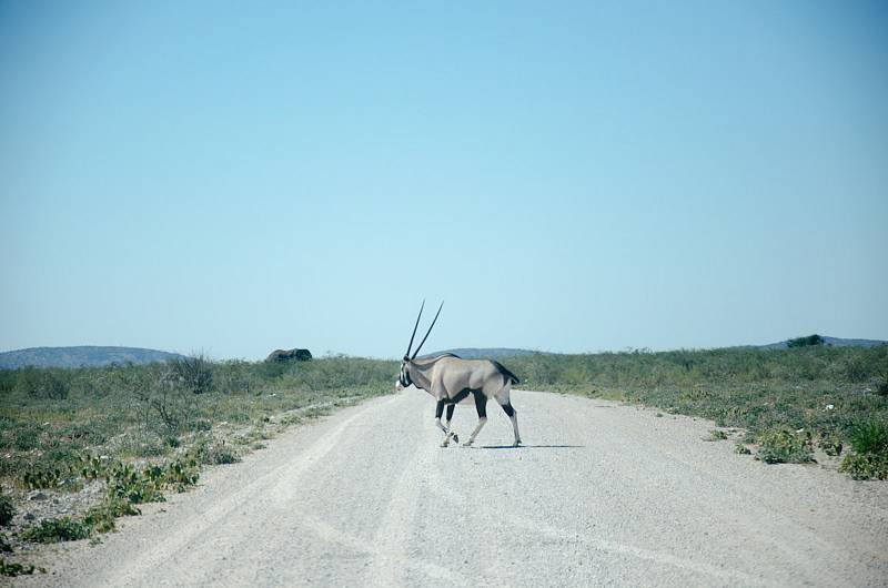 Cíl v Kapském městě má Tadeáš Šima z Prachatic téměř za rohem. Teď jede Namibií.