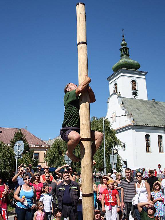 Šplh na kmen je královskou disciplinou.