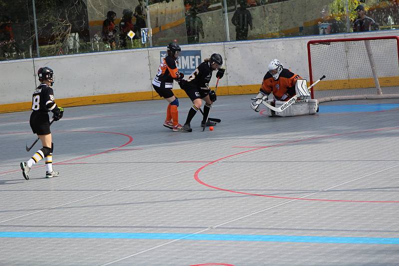 Hokejbalová liga žen - turnaj v Prachaticích.