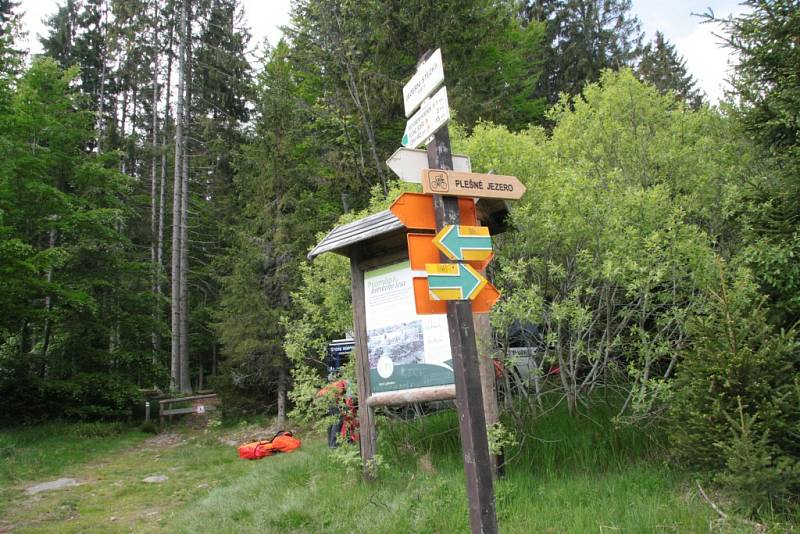 Oblast Národního parku Šumava od Nového Údolí přes Vltavskou cestu k Nové Peci až po Plešné jezero se ve čtbrtek stala místem pátrání po dvanácti ztracených účastnících nelegálního závodu. Naštěstí se jednalo o součinnostní cvičení záchranných složek.