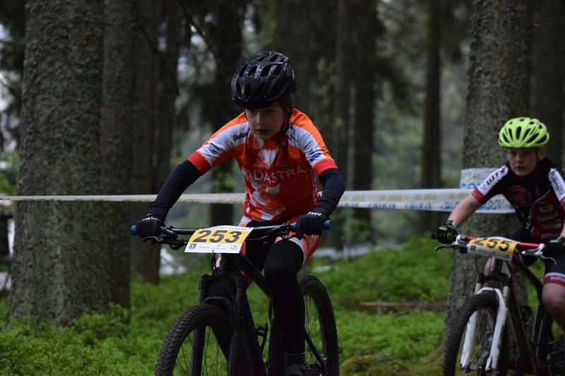 Nejmenší bikeři zahájili seriál Jihočeského poháru MTB.